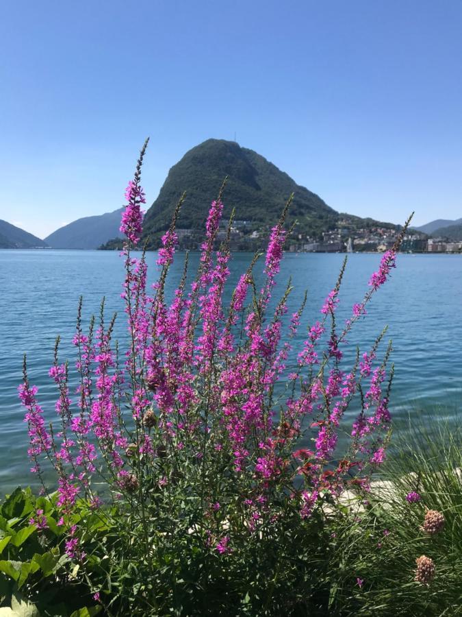 Connie S Home Free Parking Lugano Buitenkant foto